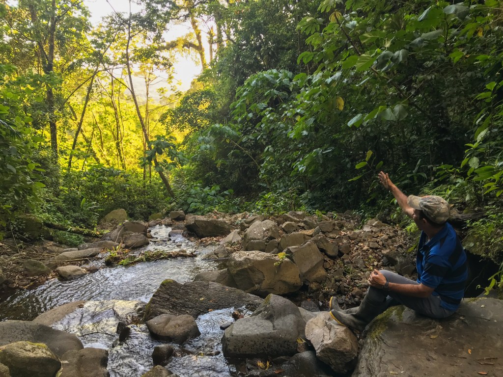 Finca Ecológica San&nbsp;Luis