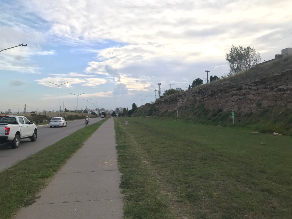 Bahía Blanca: Burrowing&nbsp;Parakeets