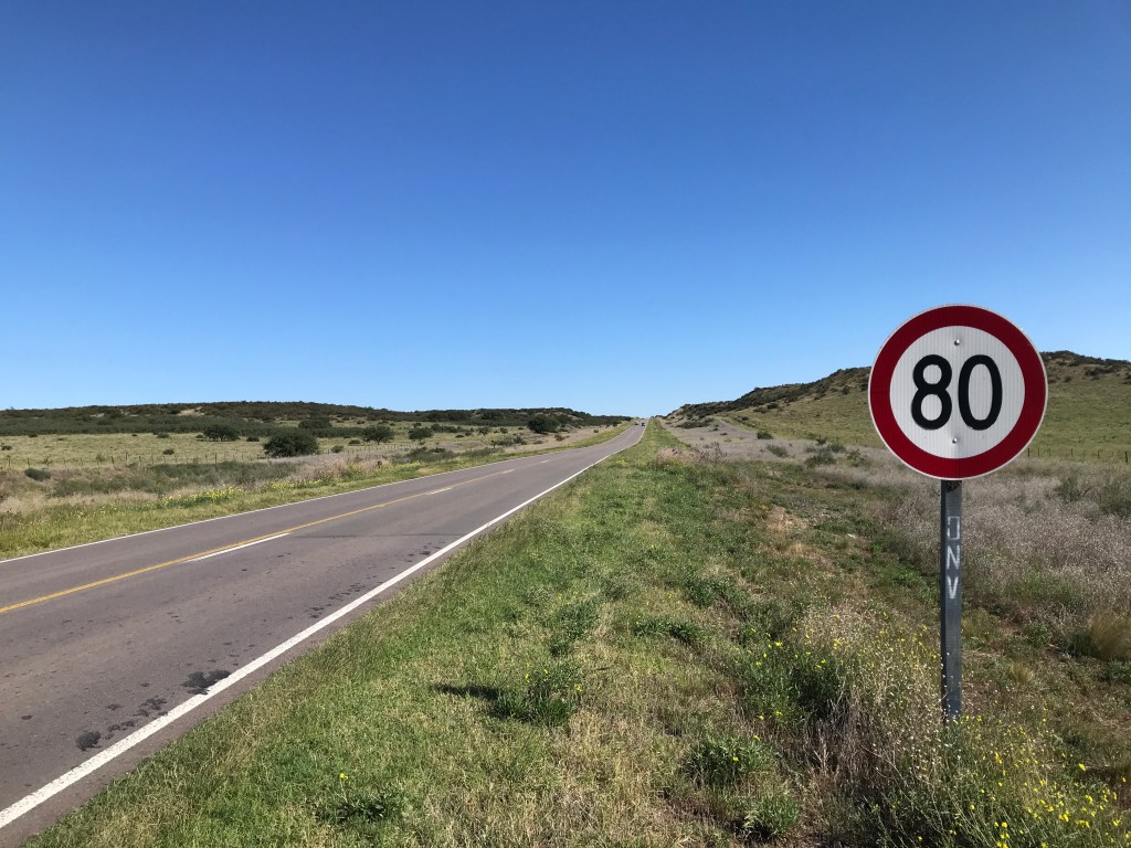 Bahia Blanca – Pampas&nbsp;Meadowlark