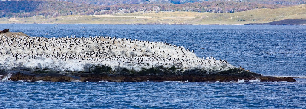 Ushuaia: first days at the end of the&nbsp;world