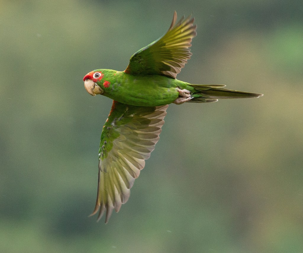 First days in the&nbsp;Yungas