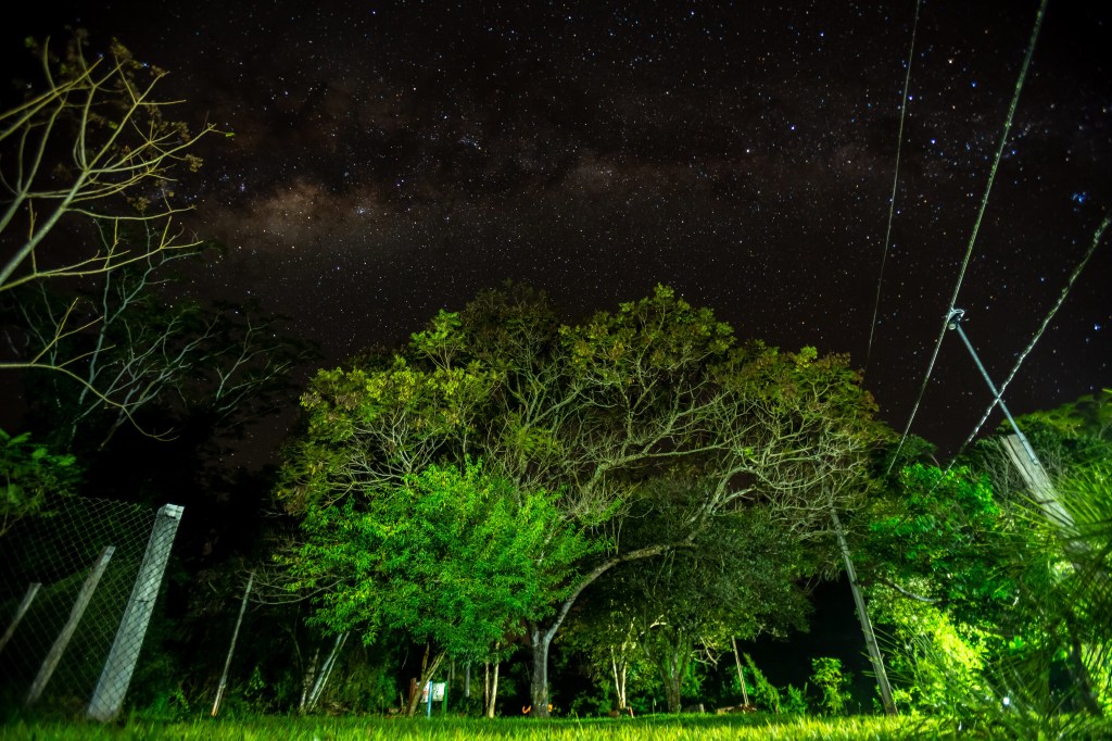 Field Station Life: Reserva&nbsp;Mbaracayú